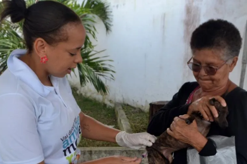 Saúde: “Feira de Santana” Vacinação contra a raiva para cães e gatos está disponível em Feira