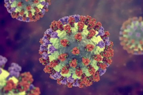 Saúde: “Influenza” Saiba os sintomas e como prevenir a Influenza