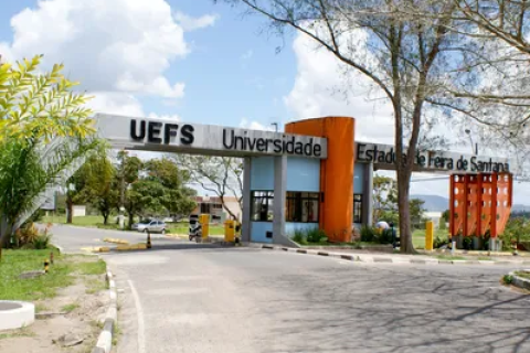 Feira de Santana: “Pesquisadores” UEFS se destaca em ranking mundial de pesquisadores