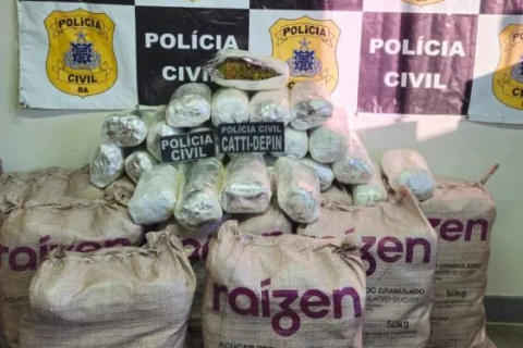 Polícia: “Bahia” PM apreende 100 kg de drogas em operação
